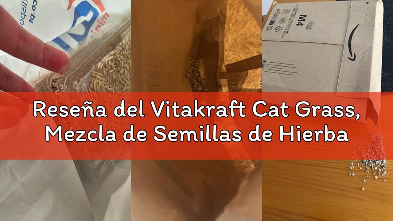 Reseña del Vitakraft Cat Grass, Mezcla de Semillas de Hierba para Gatos, con vitaminas y minerales (