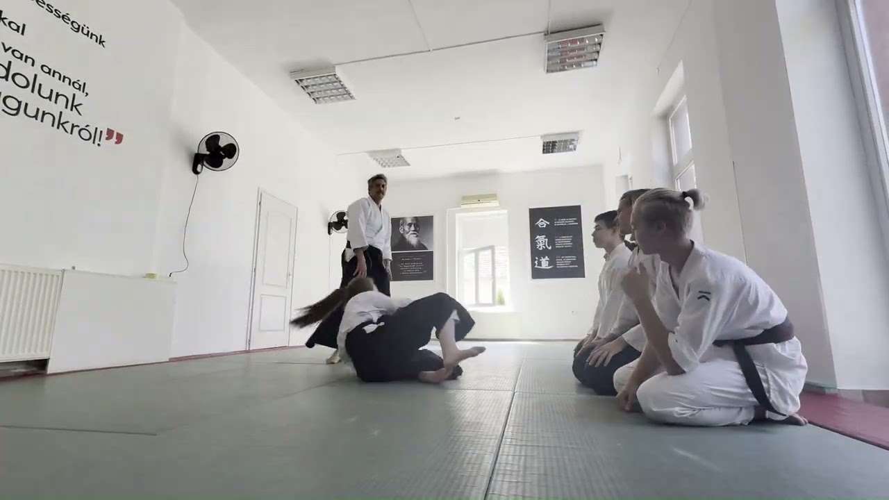 Tinédzser aikido 