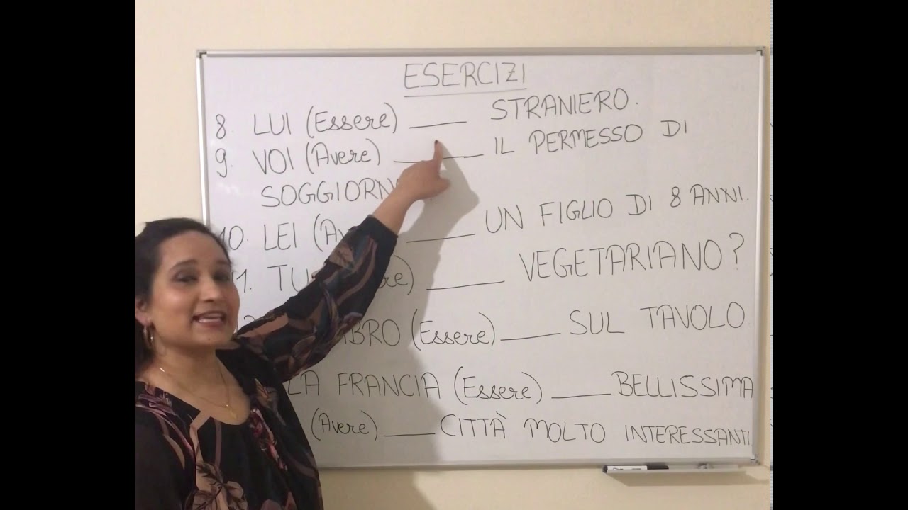 Esercizi ESSERE e AVERE/ Italian in Punjabi/ lesson 13