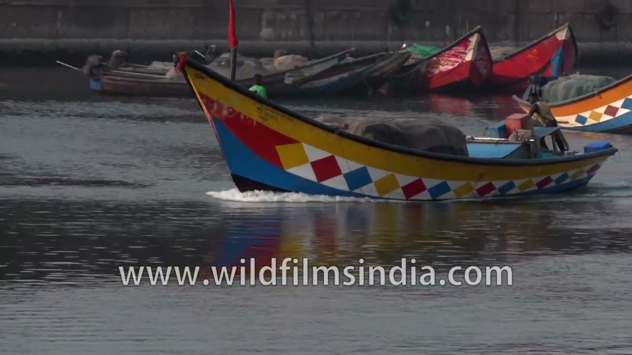 Brightly painted fishing boats rest along the jetty at Gopalpur-on-Sea in Odisha