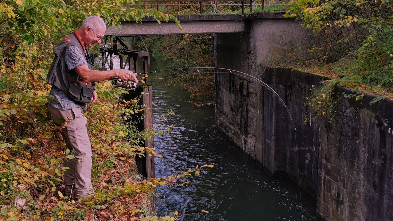 P&ecirc;che aux leurres &agrave; l'ultra l&eacute;ger en Alsace