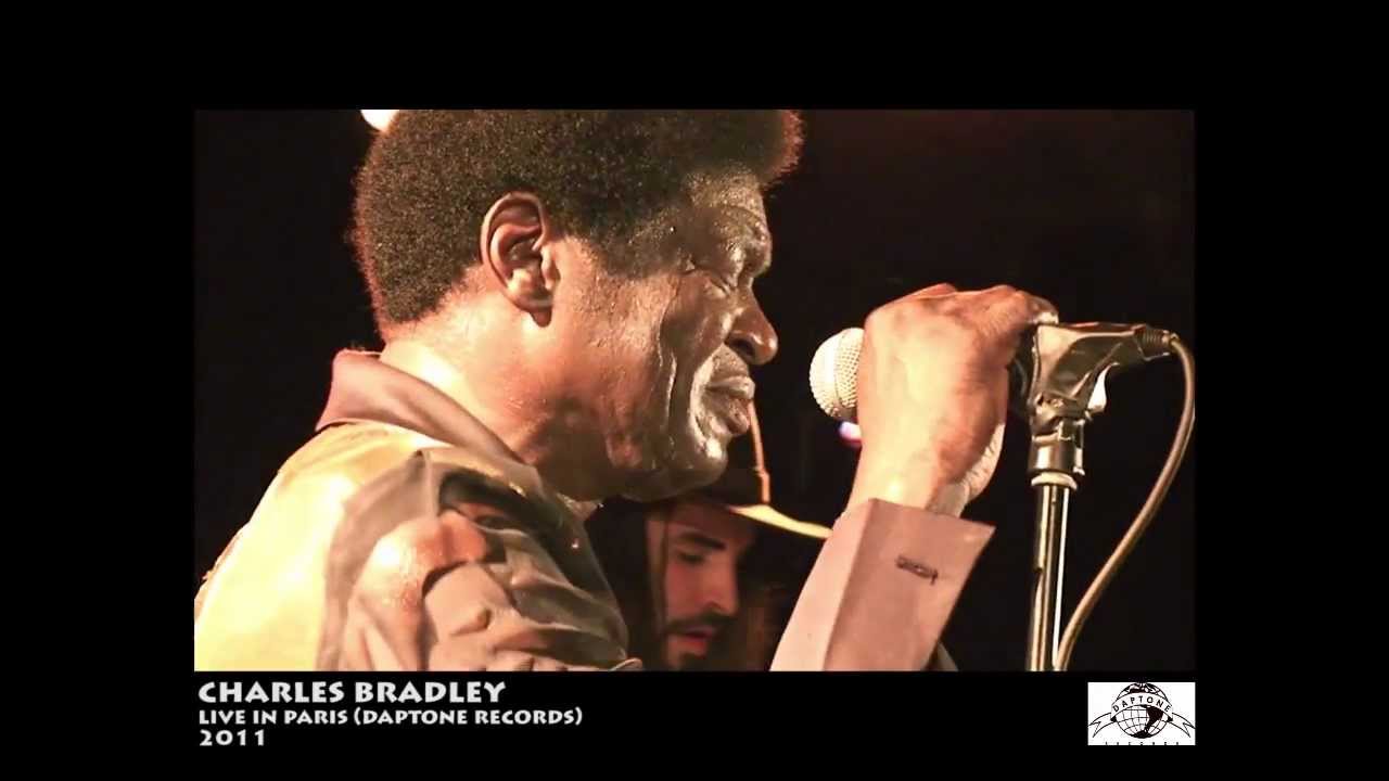 SHOWREEL Live Music 2012 Fred Feuillet