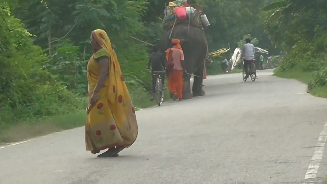भाग 180 प्रकृति की  सुन्दर रचना 9 सितंबर 2024
