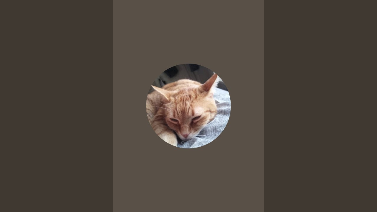 bitty is live!