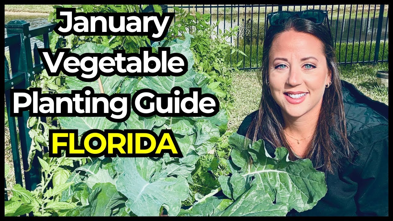 25 Crops Every Florida Gardener Should Start in January