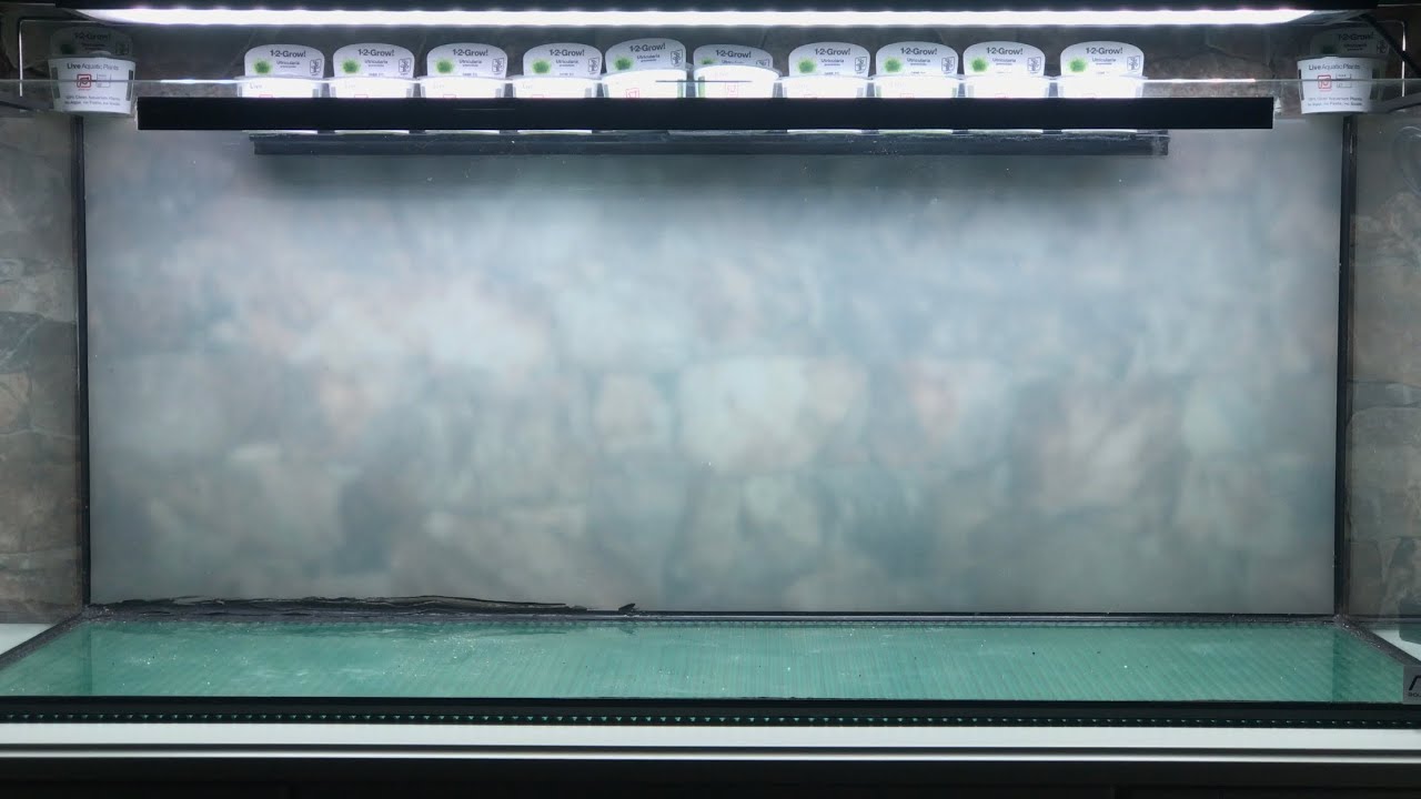 Aquascaping iwagumi (DSM)