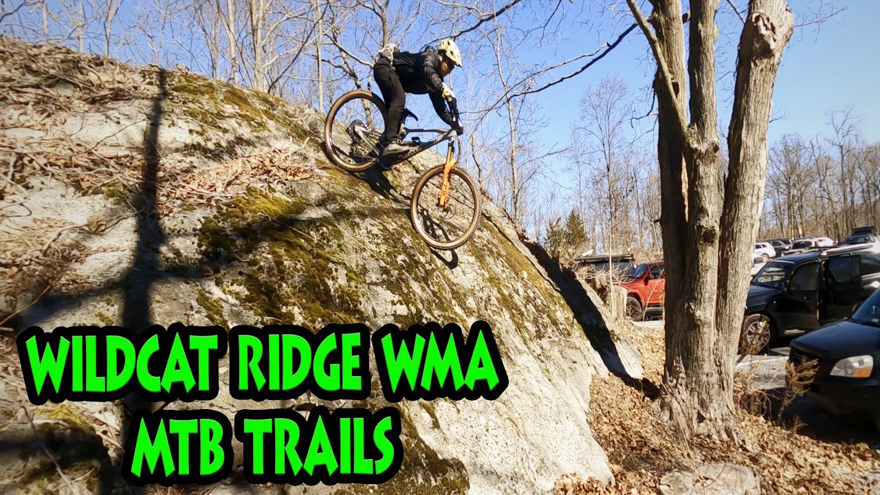 Wildcat Ridge WMA MTB Trails | Best NJ MTB Trails | Orbea Rise H15