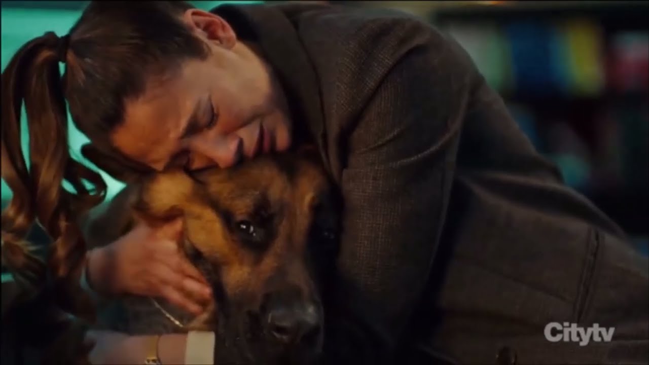 Hudson and Rex season 7 finale ending 😭💔