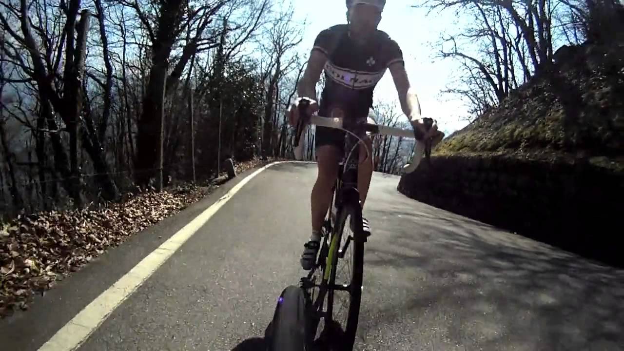 COLNAGO - The Chasing