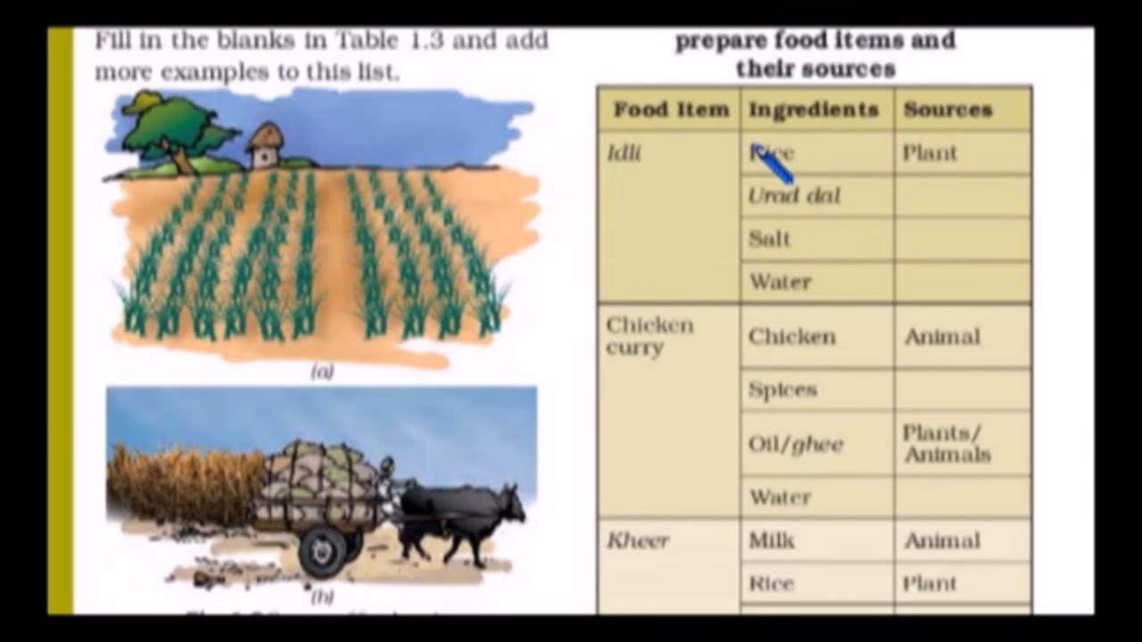 NCERT TEXTBOOK SCIENCE Class 6 lesson1 part 1 (New syllabus 2020 -21)