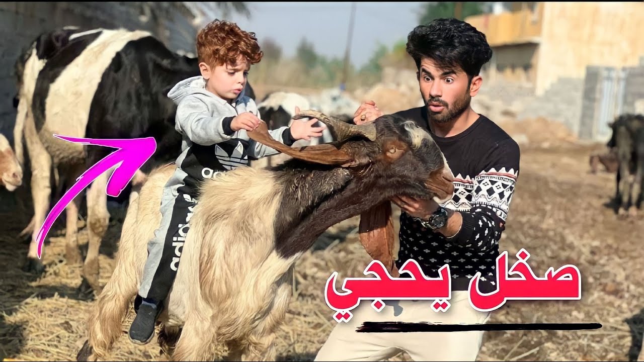 صخل يحجي🐐|كنان ورطني وشترينا🔫#هههه😂