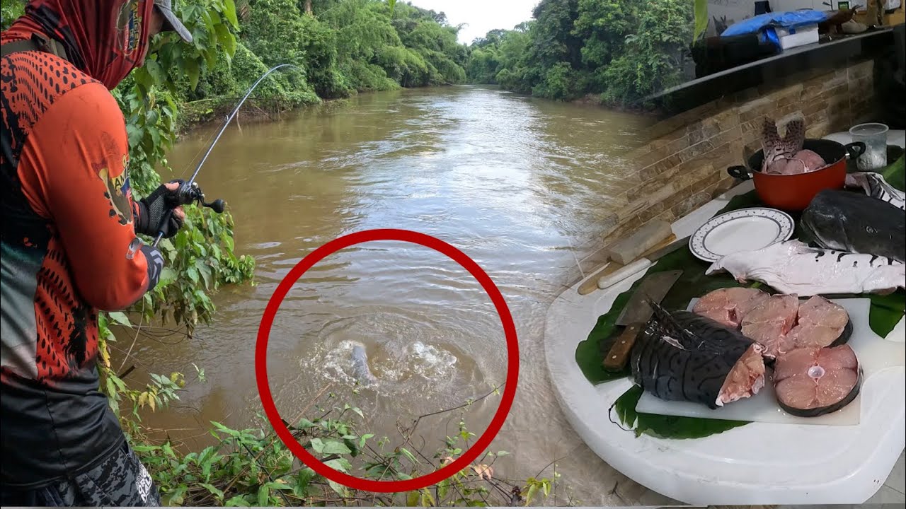Pesca y cocina de un bagre rayado grandísimo que capturo mi hermano con la caña