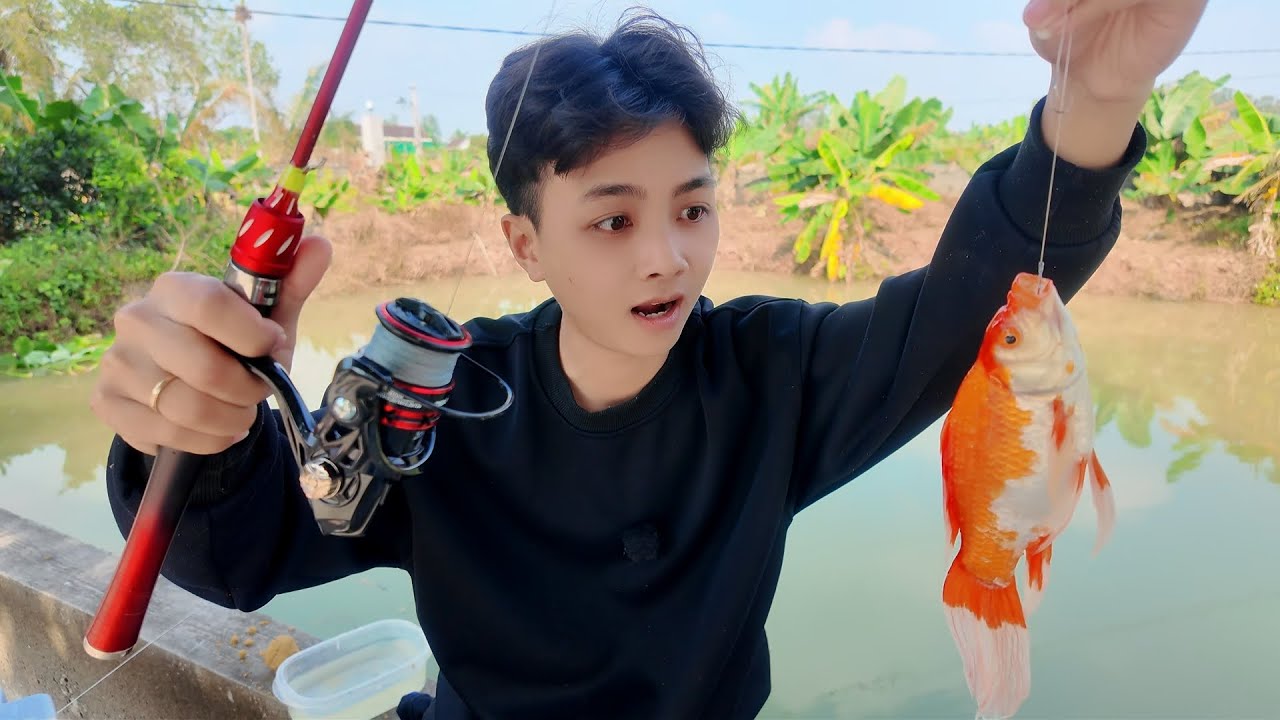 Thử Thách Câu Đài Bằng Combo Cần Ul Bao Cảm Giác