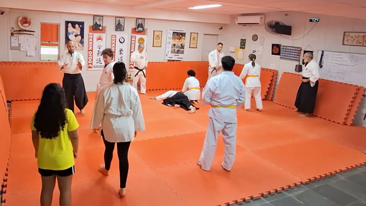 Gyaku Hanmi Katate-dori: Ikkyo, Irimi e Sumi Otosh