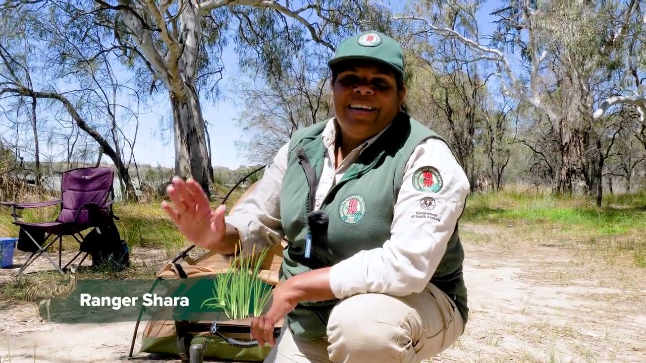 Meet the Team - Katarapko River Detectives Trail