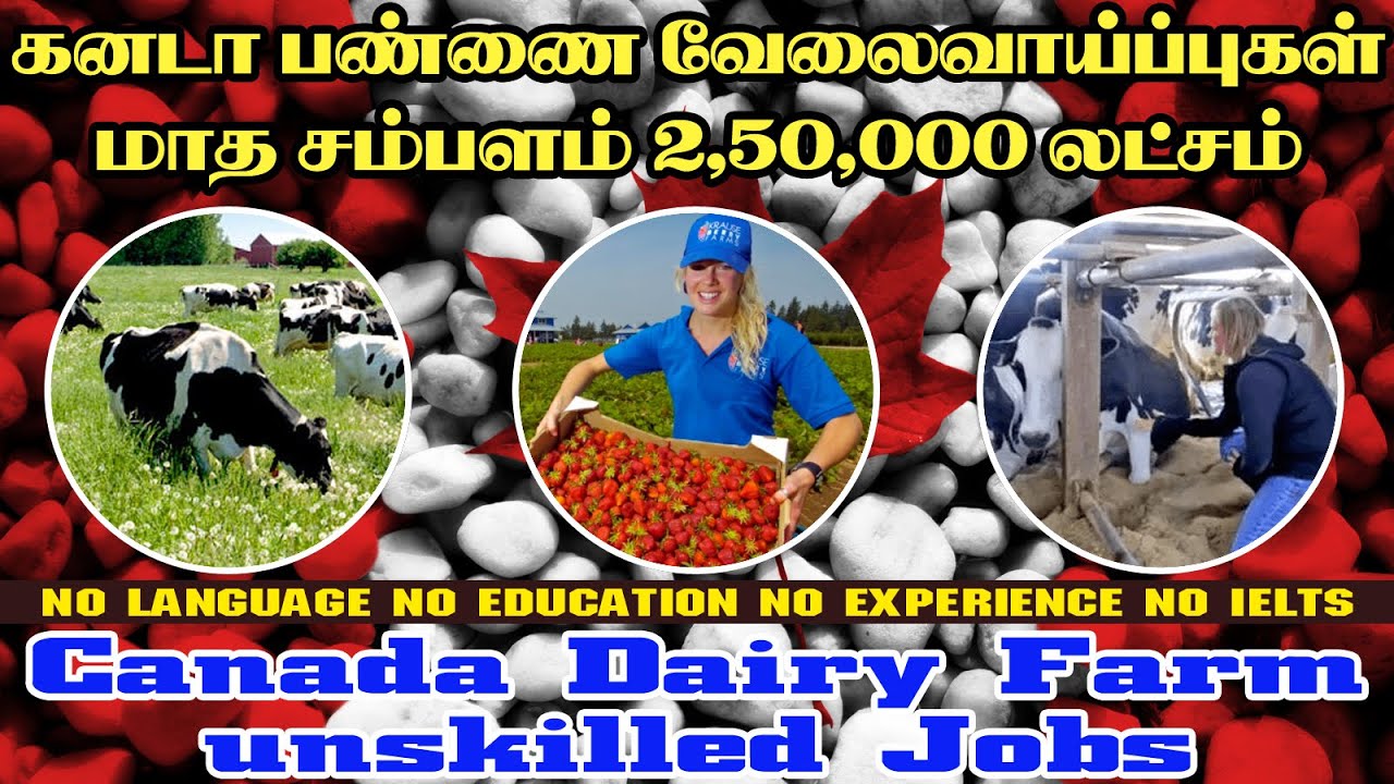 Canada Farm Jobs|No Education|NO IELTS|கனடா பண்ணை வேலைவாய்ப்புகள்|Unskilled Jobs