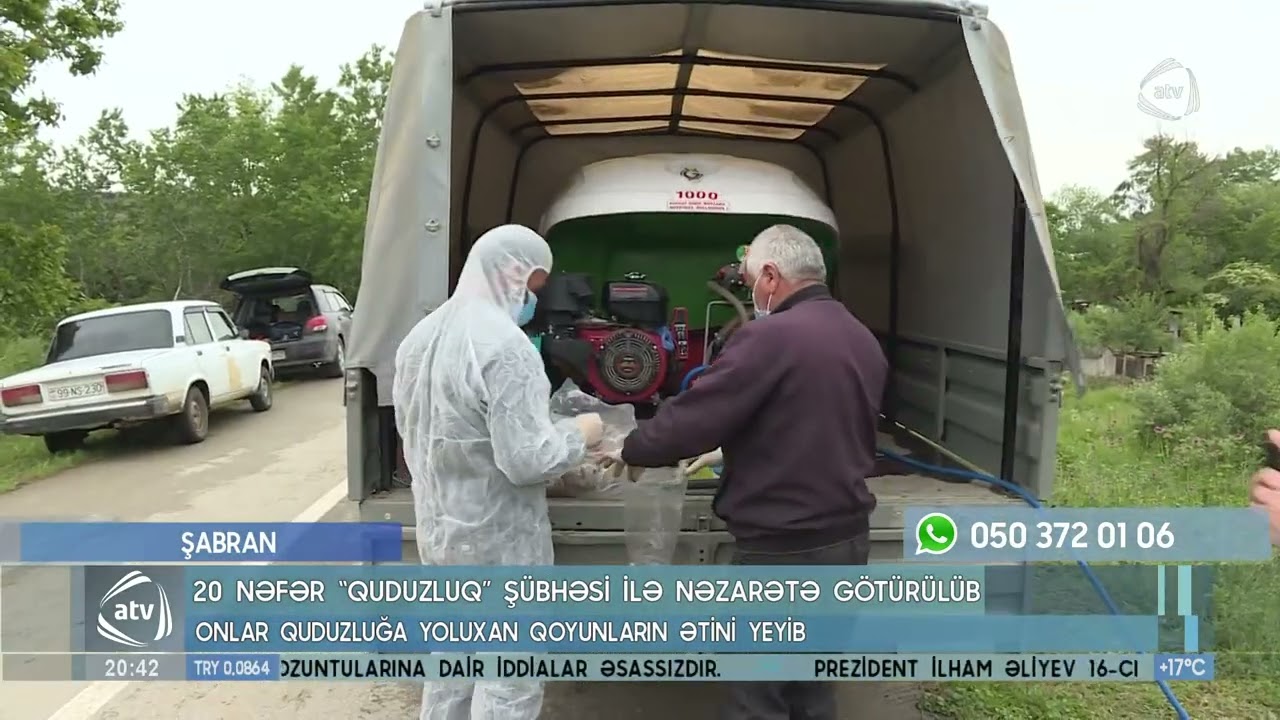20 nəfər quduzluğa yoluxan qoyunların ətini yeyib