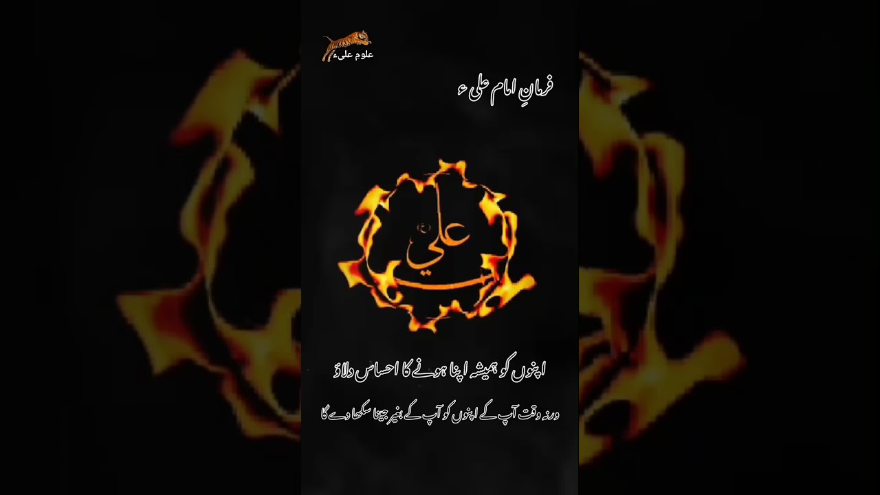 Hazrat Imam Ali as | Farman | Aqwal | فرمانِ امام علیء