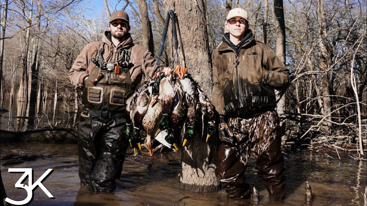 Arkansas Public Land  |  Low Water Ducks