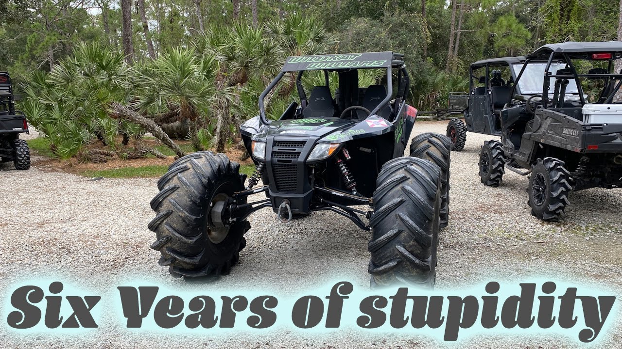 WildKat Williams: 6 years of stupidity