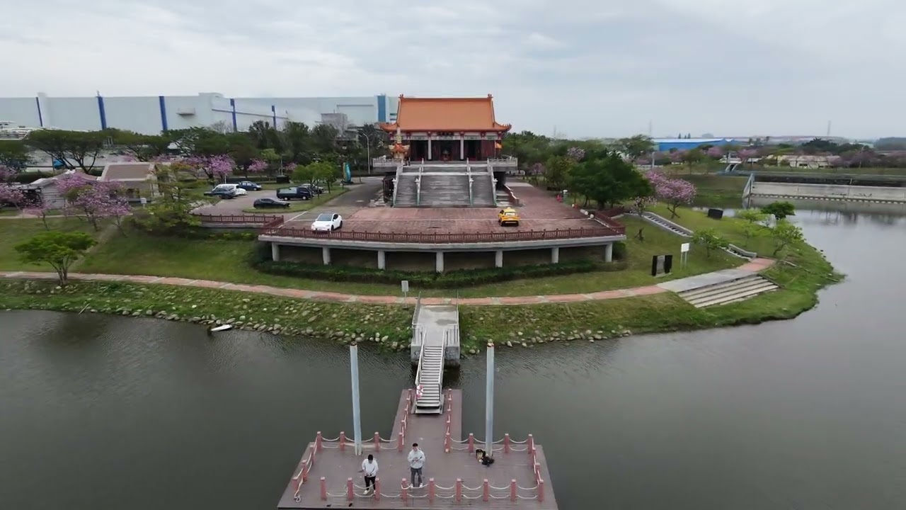 2026-03 南科堤塘湖羊蹄甲