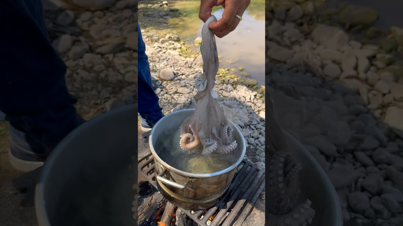 C&oacute;mo cocer un pulpo