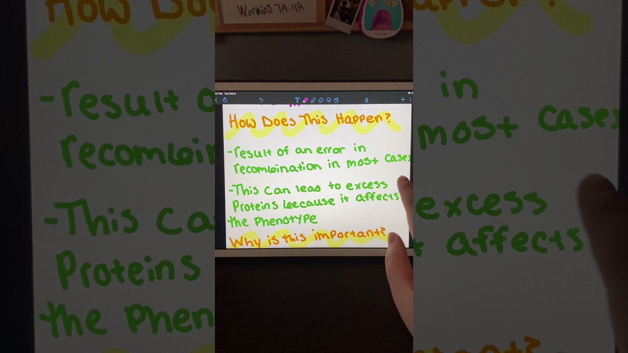 Gene duplication
