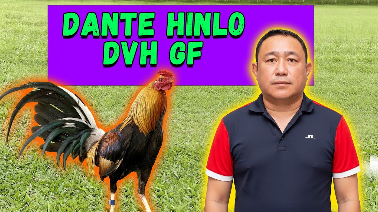Dante Hinlo