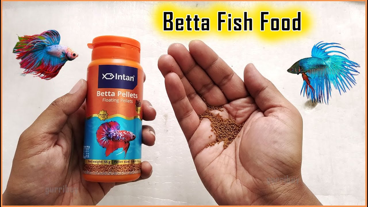 Intan Betta Pellets Fish Food