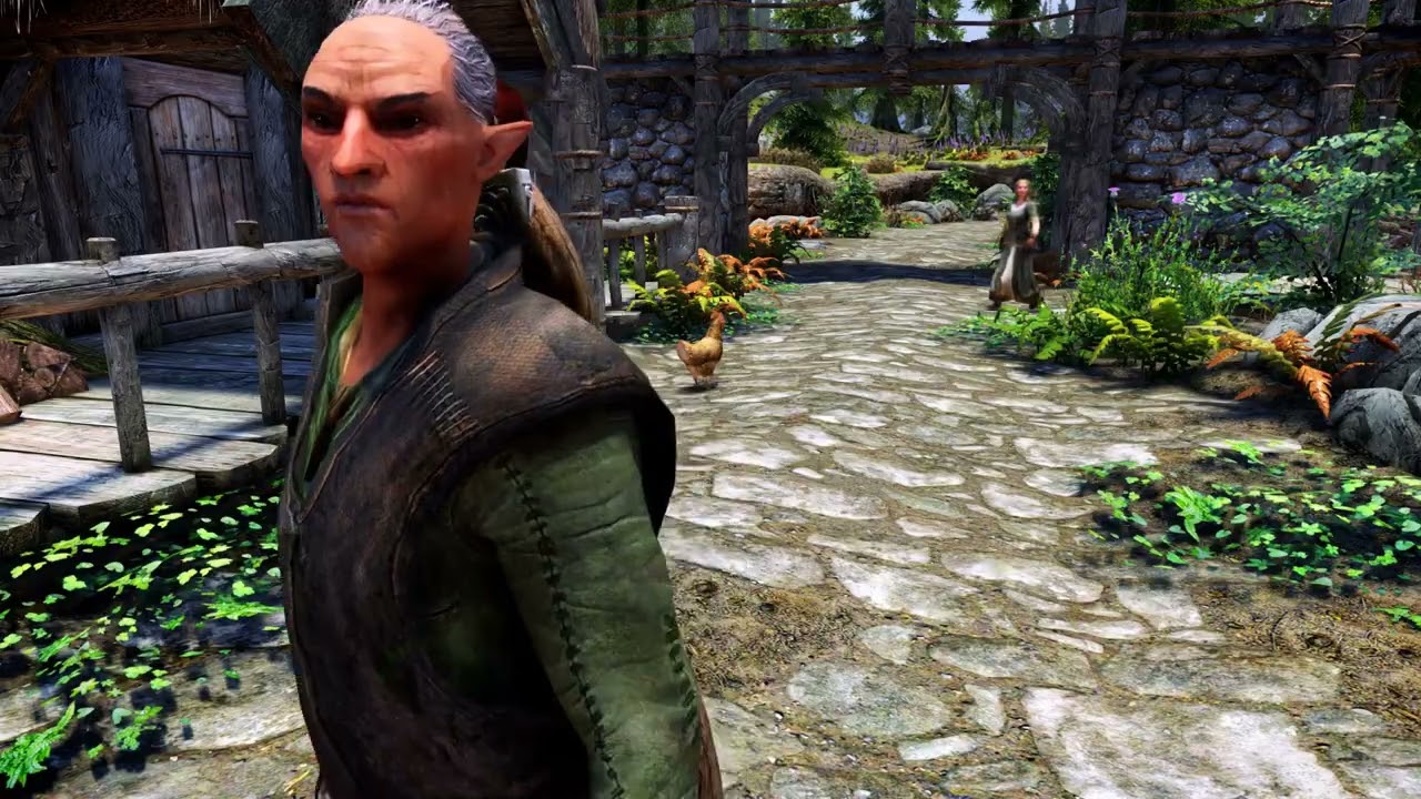NPCs React To Custom Races Skyrim Mod Showcase