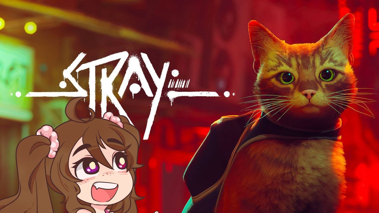 【STRAY】I'm A Kitty #Vtuber #VtuberEN
