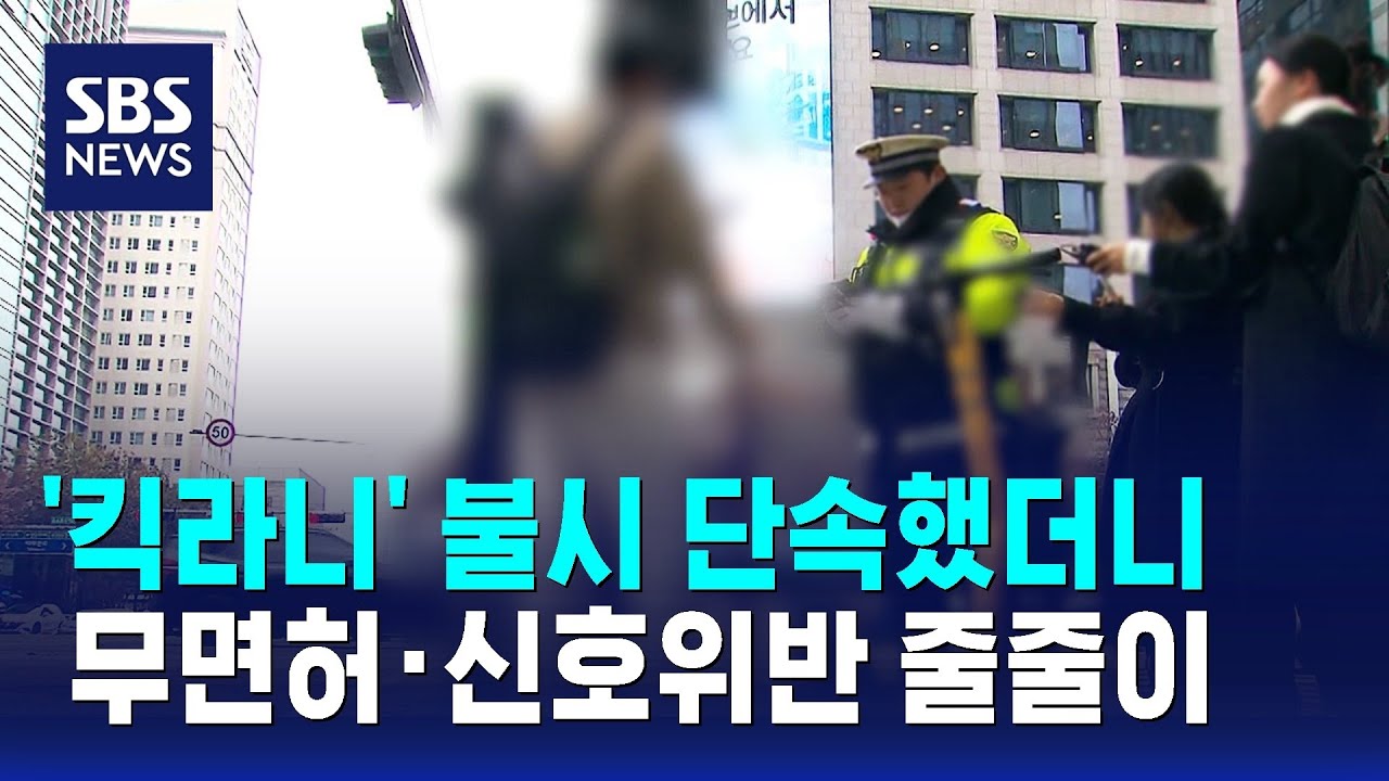 '킥라니' 불시 단속했더니&hellip;무면허&middot;신호위반 줄줄이 / SBS