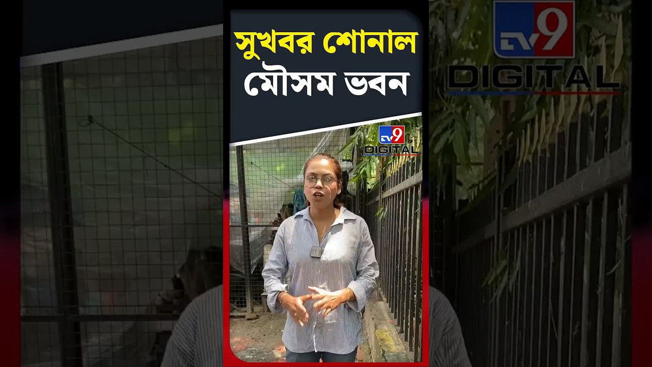 সুখবর শোনাল মৌসম ভবন | #Shorts | #TV9D