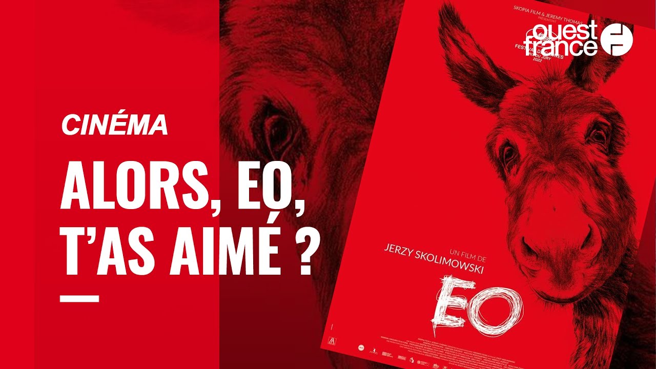 Alors le film polonais, Eo, sur un &acirc;ne vagabond, t'as aim&eacute; ?