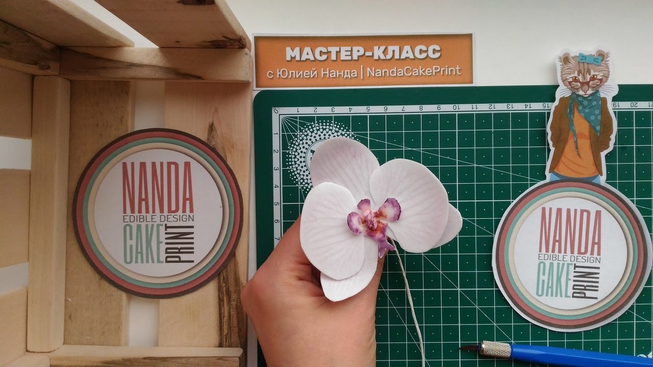 Wafer Paper Flower Orchid for Cake Decorating (tutorial)