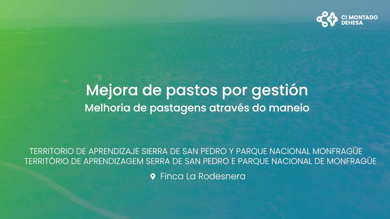 Vídeo Técnico: Melhoria de pastagens através do maneio | CI Montado-Dehesa