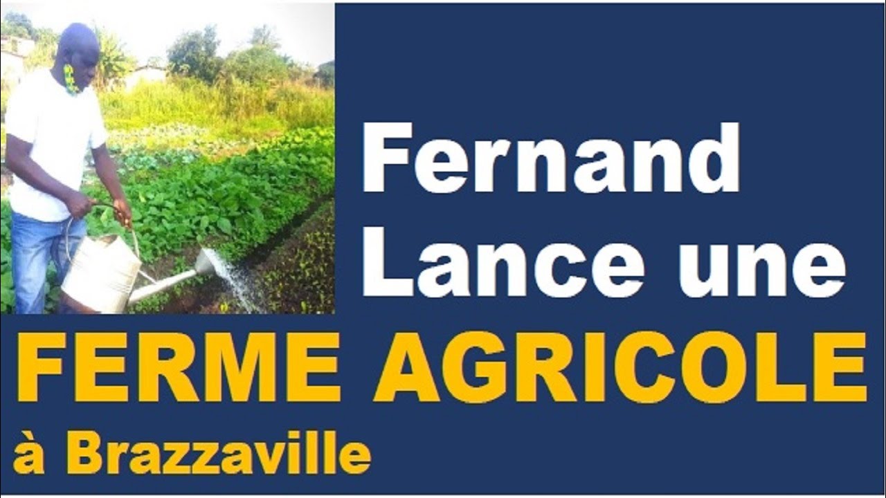 Comment Fernand a lanc&eacute; sa FERME AGRICOLE &agrave; Brazzaville