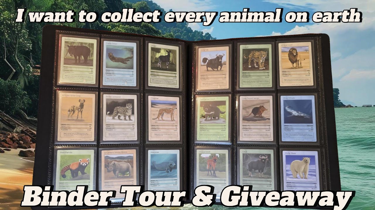 Showing Off My LIFE TCG Binder! & Bonus Giveaway Results