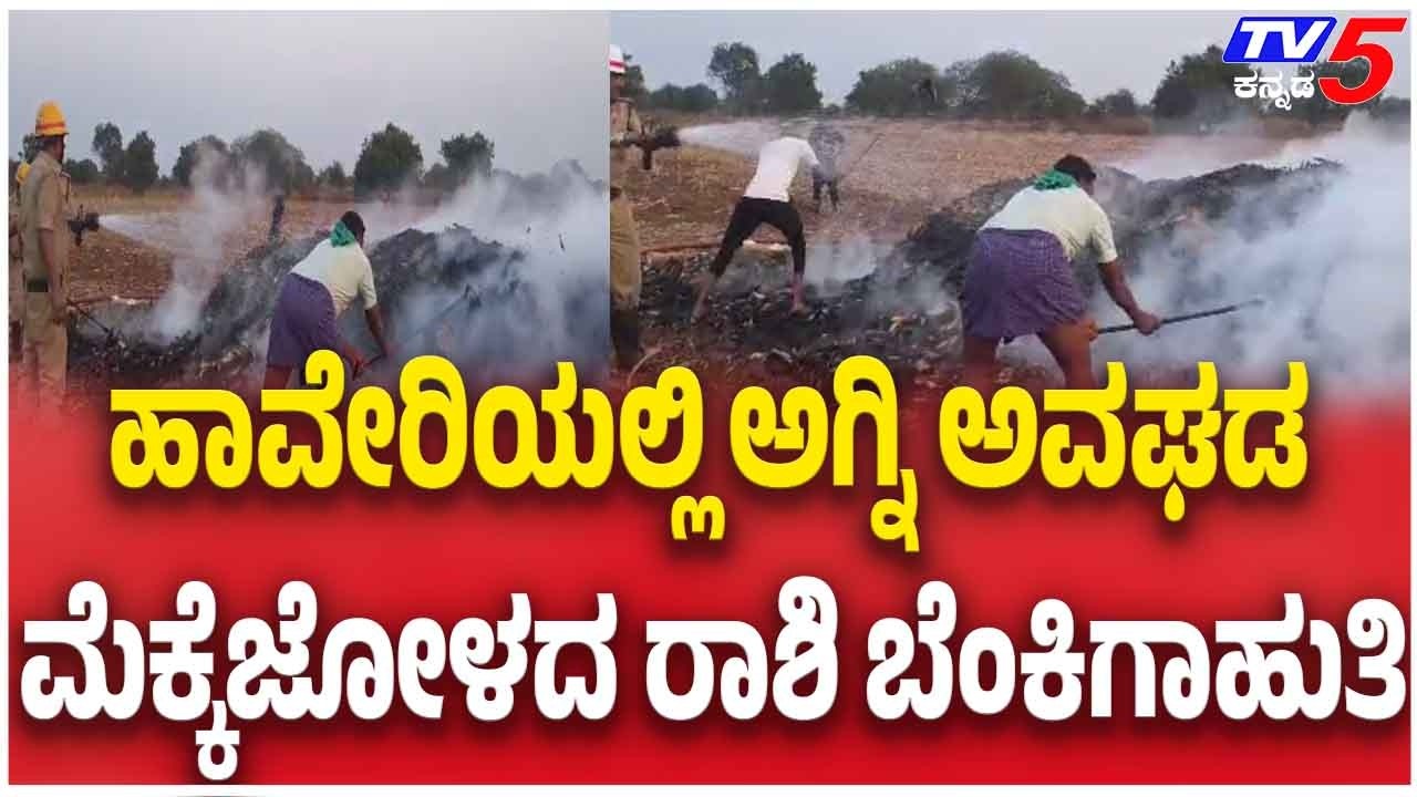 Massive Maize Stock Burnt In Haveri Fire Accident ಮೆಕ್ಕೆಜೋಳದ ರಾಶಿ ಬೆಂಕಿಗಾಹುತಿ,ಲಕ್ಷಾಂತರ ರೂ ನಷ್ಟ