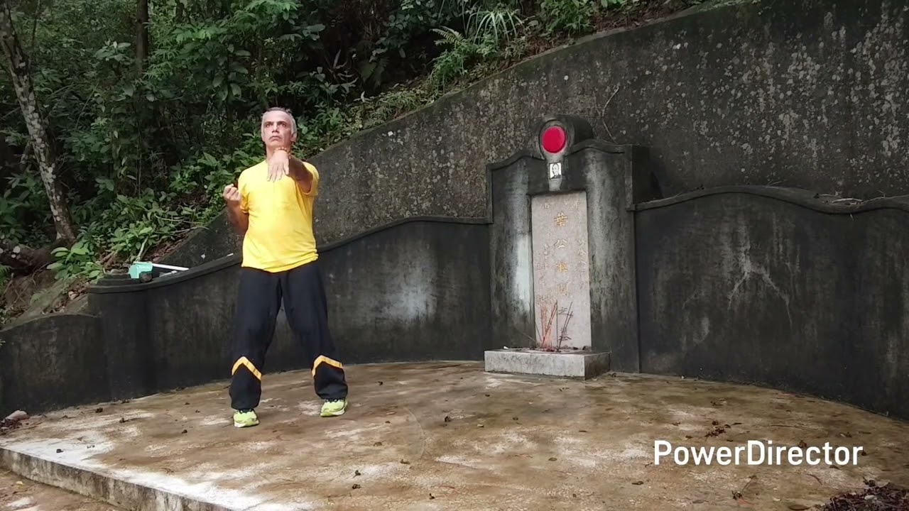 Wing Chun Kung Fu Siu Nim Tao near GGM Ip Man grave in Hong Kong 2025