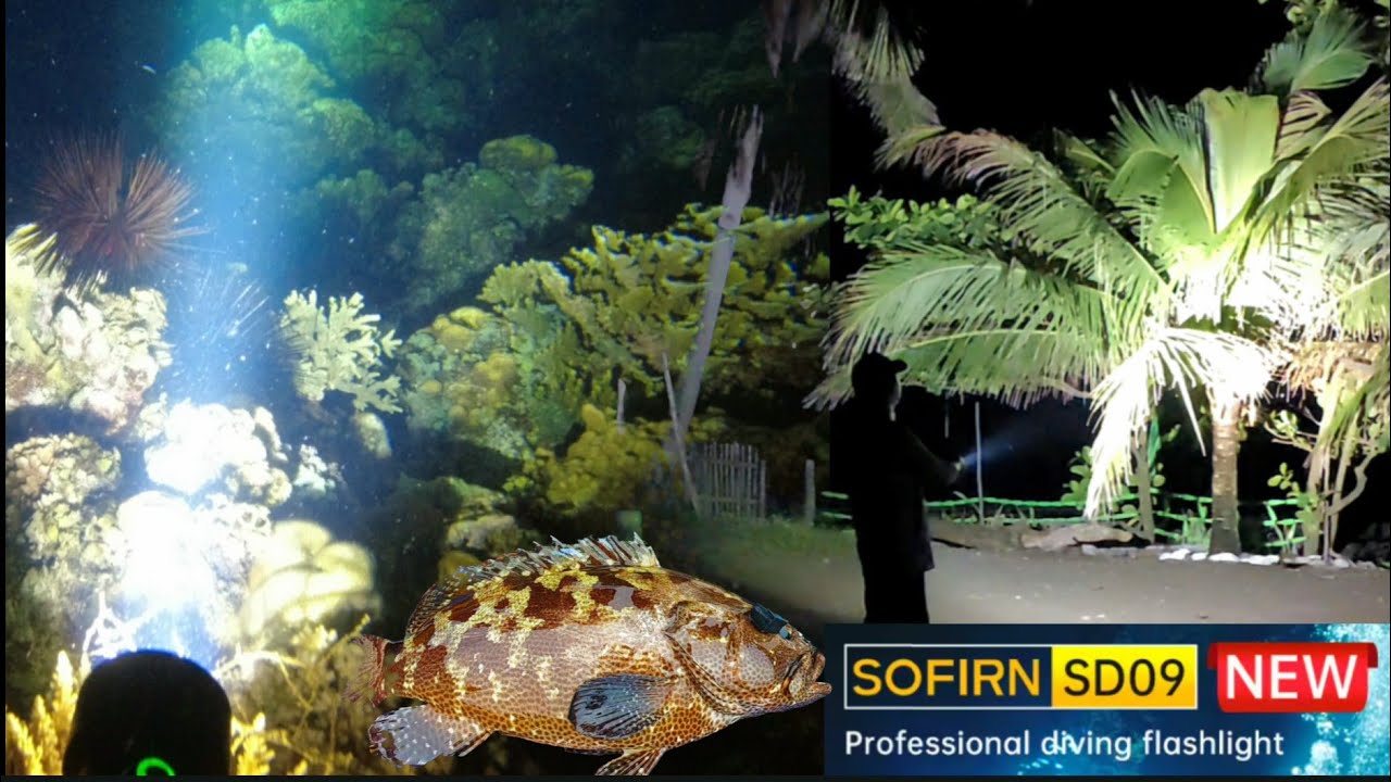 GANDA NITO 😊 SOFIRN SDO9 NEW DIVING FLASHLIGHT  REVIEW | Drin's Adventure | Katusok