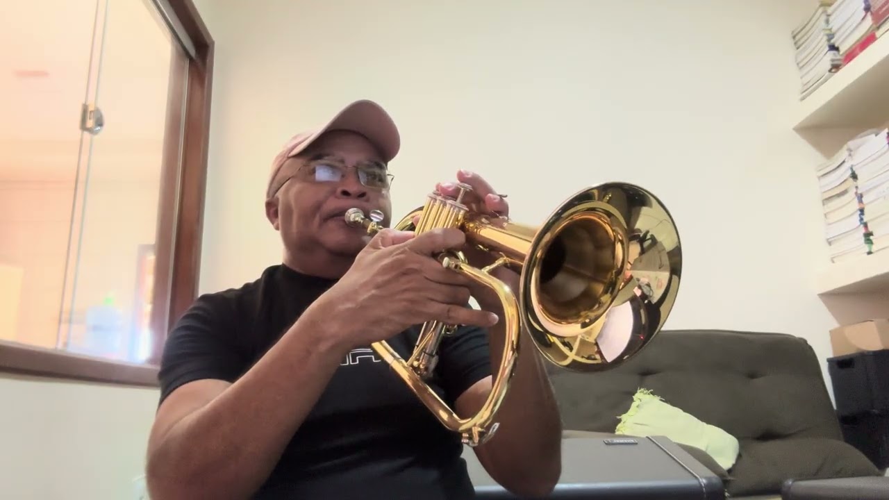 🎺🎶Nothing’s Gonna Change My Love For You 🎶🎺