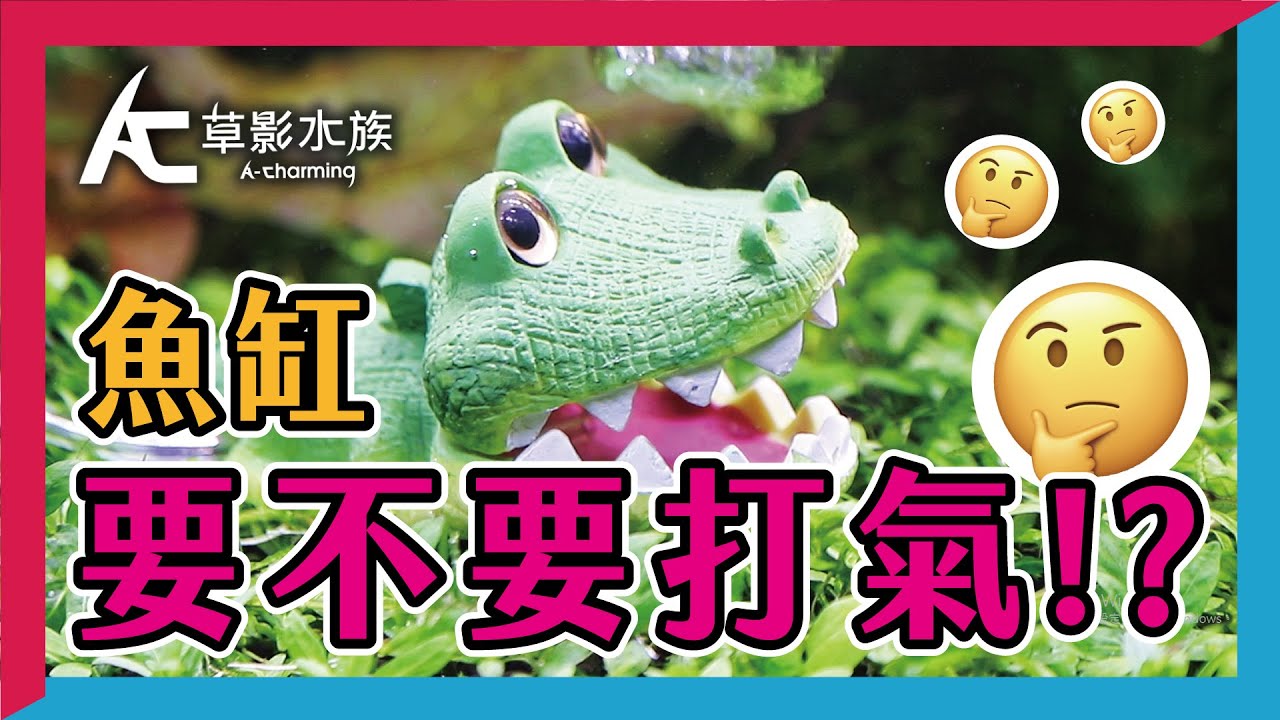 有了外掛過濾還要打氣嗎？帶你了解打氣機的使用時機與原理！｜AC草影水族