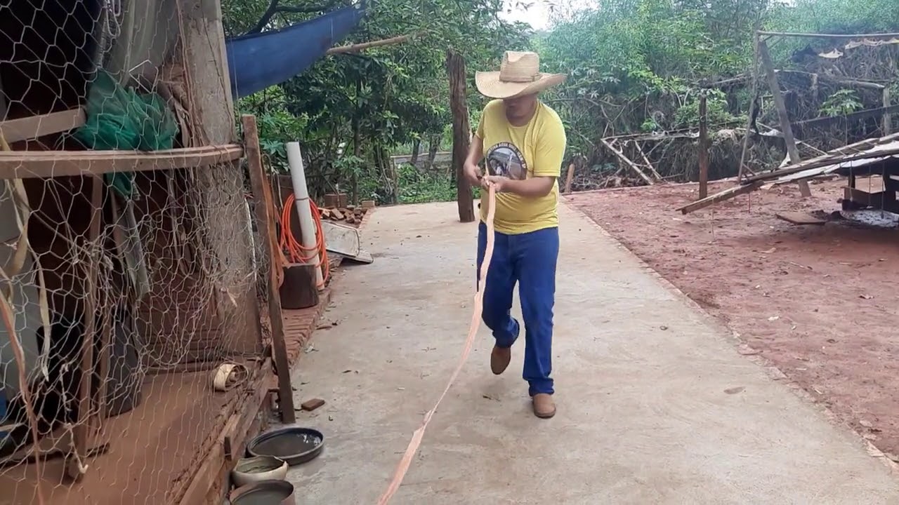 fazendo um maneado do nosso uso ( Carlim Moura )