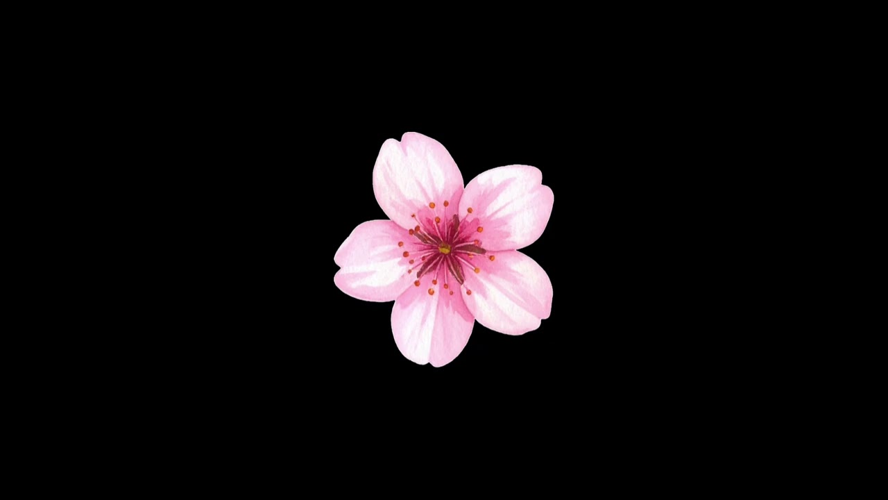 Fading Strings | Guitar type beat