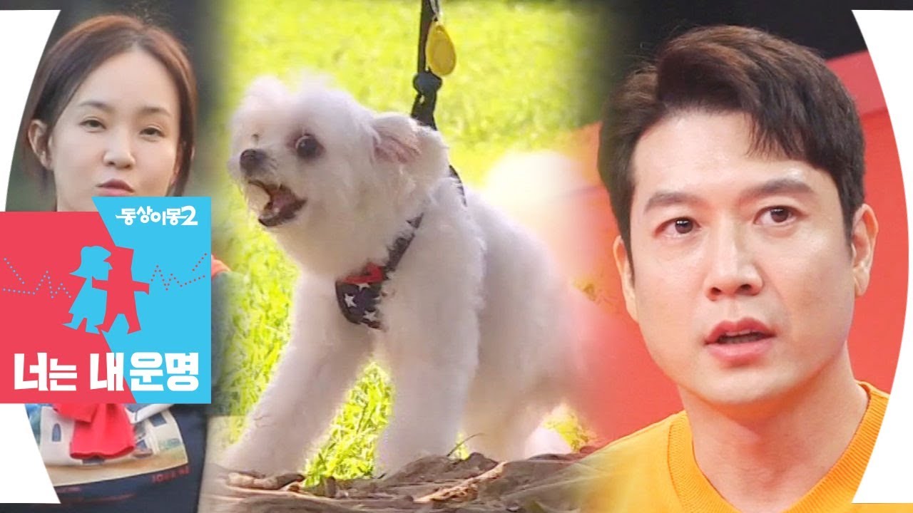 ‘통제 불능’ 복이, 조현재·박민정 반려견 등장! @동상이몽2 - 너는 내 운명 115회 20191007