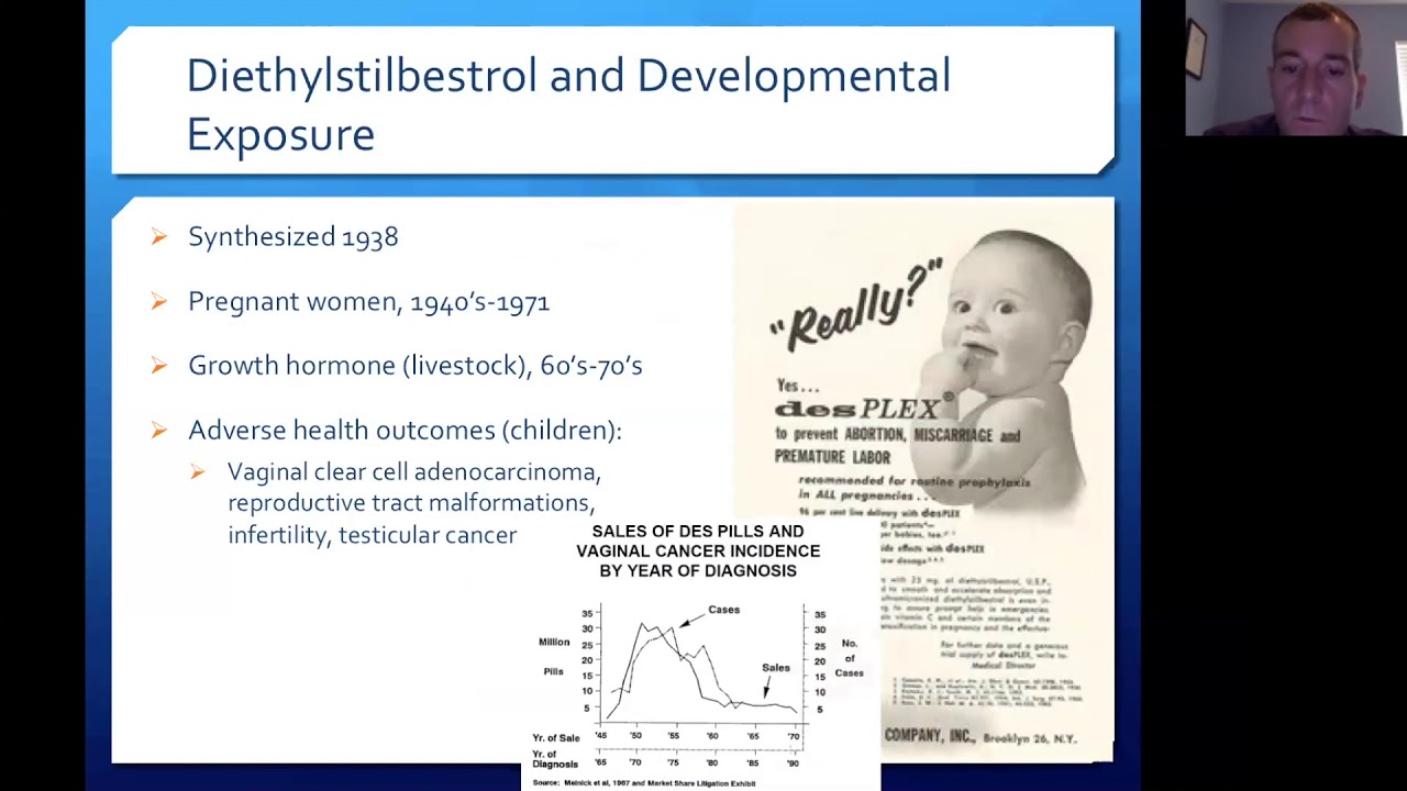 CHE Webinar: Chemicals in House Dust: Potential Contributors to Obesity and Metabolic Disorders