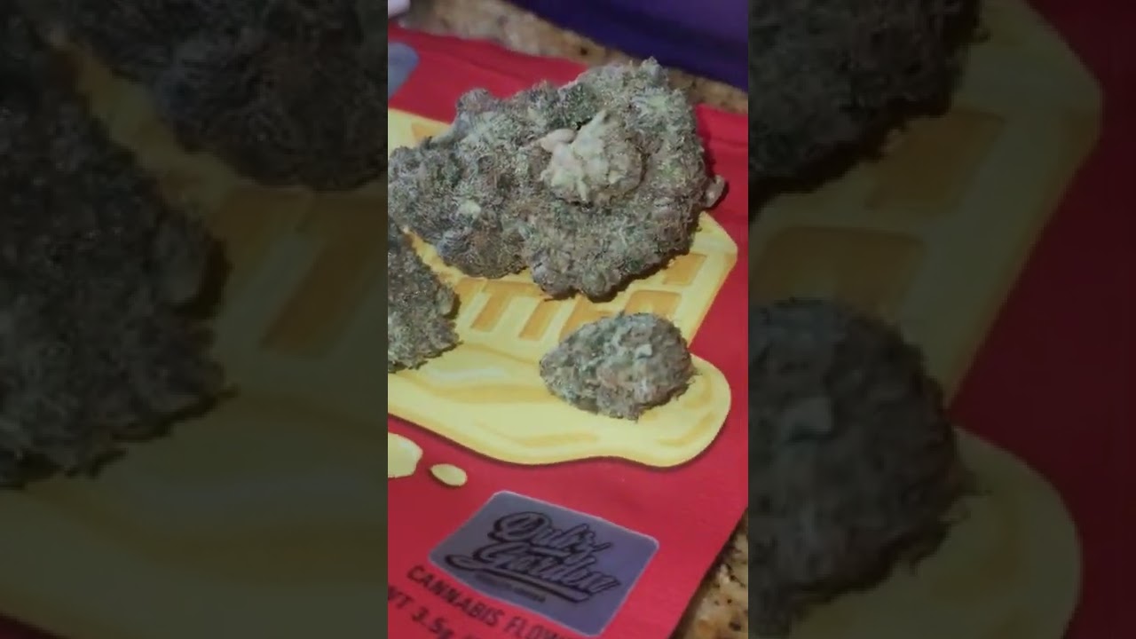 💥🚨💥🚨💥🚨💥2090 SHIT COOKIES INDOOR POWERZZZUP MAD COW GENETICS🏋&zwj;♂️🏋&zwj;♂️🏋&zwj;♂️🏋&zwj;♂️😈😈😈😈😈😈