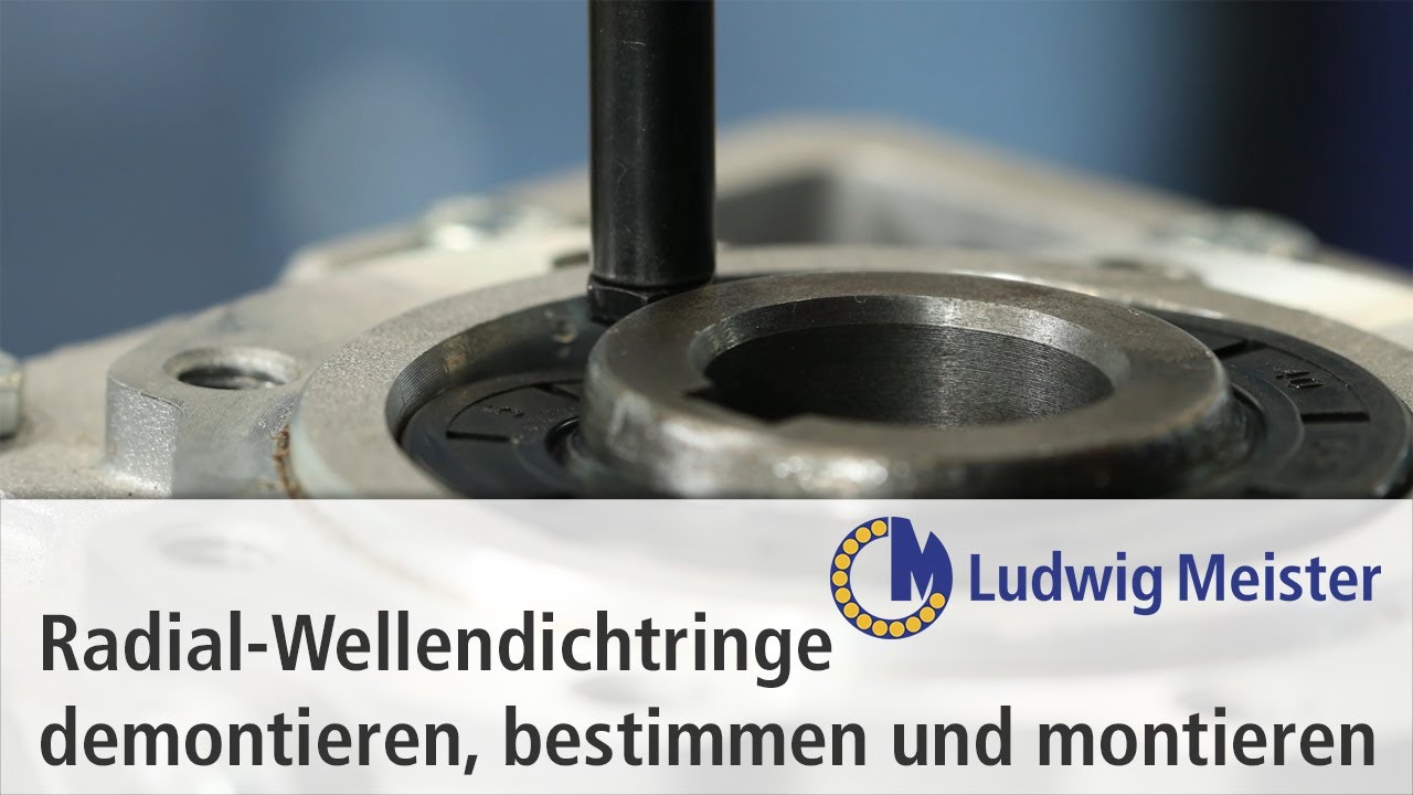 Radial-Wellendichtring demontieren, bestimmen und wieder montieren