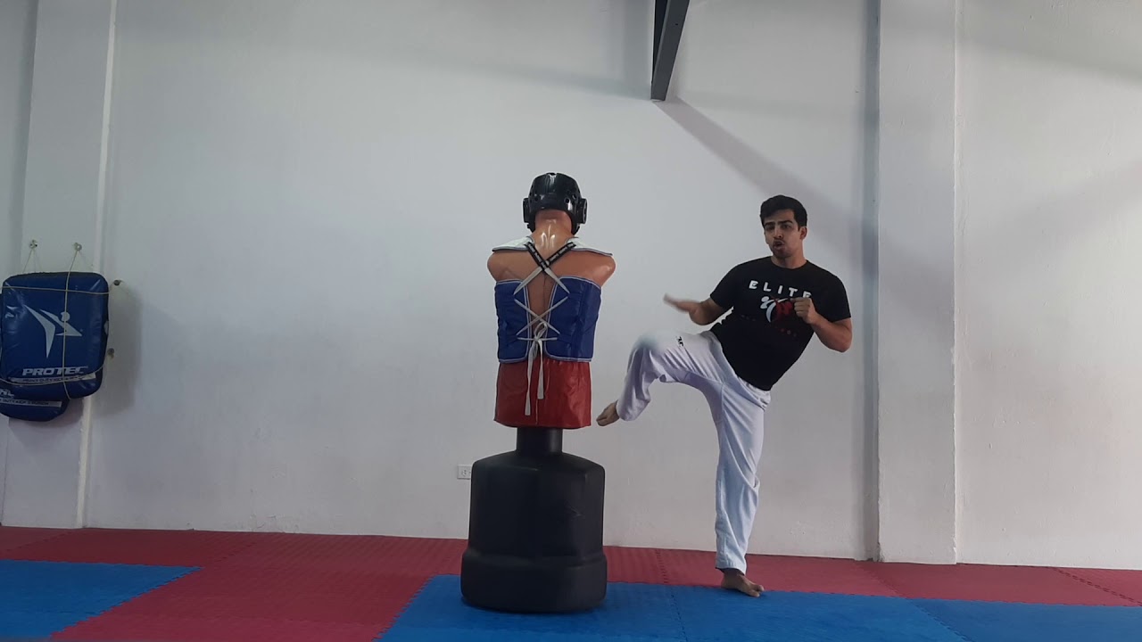 Patada #2 pucho Taekwondo
